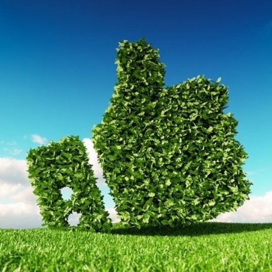 NoPath – Copy (3) NoPath - Copy (3)